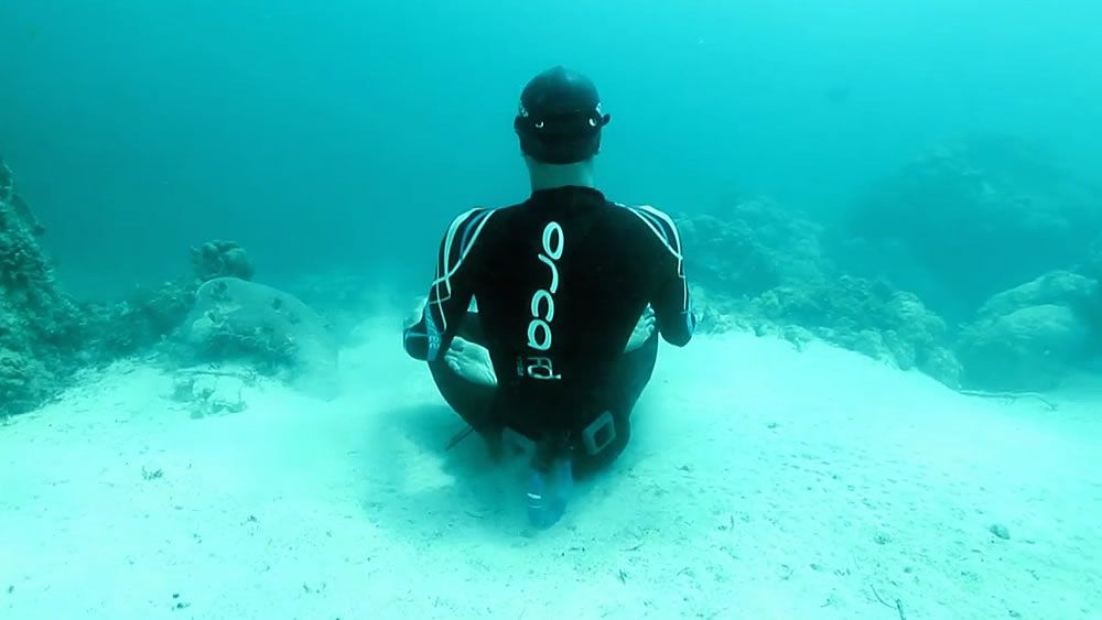 Diving to 100 metres on a single breath takes more than strong lungs