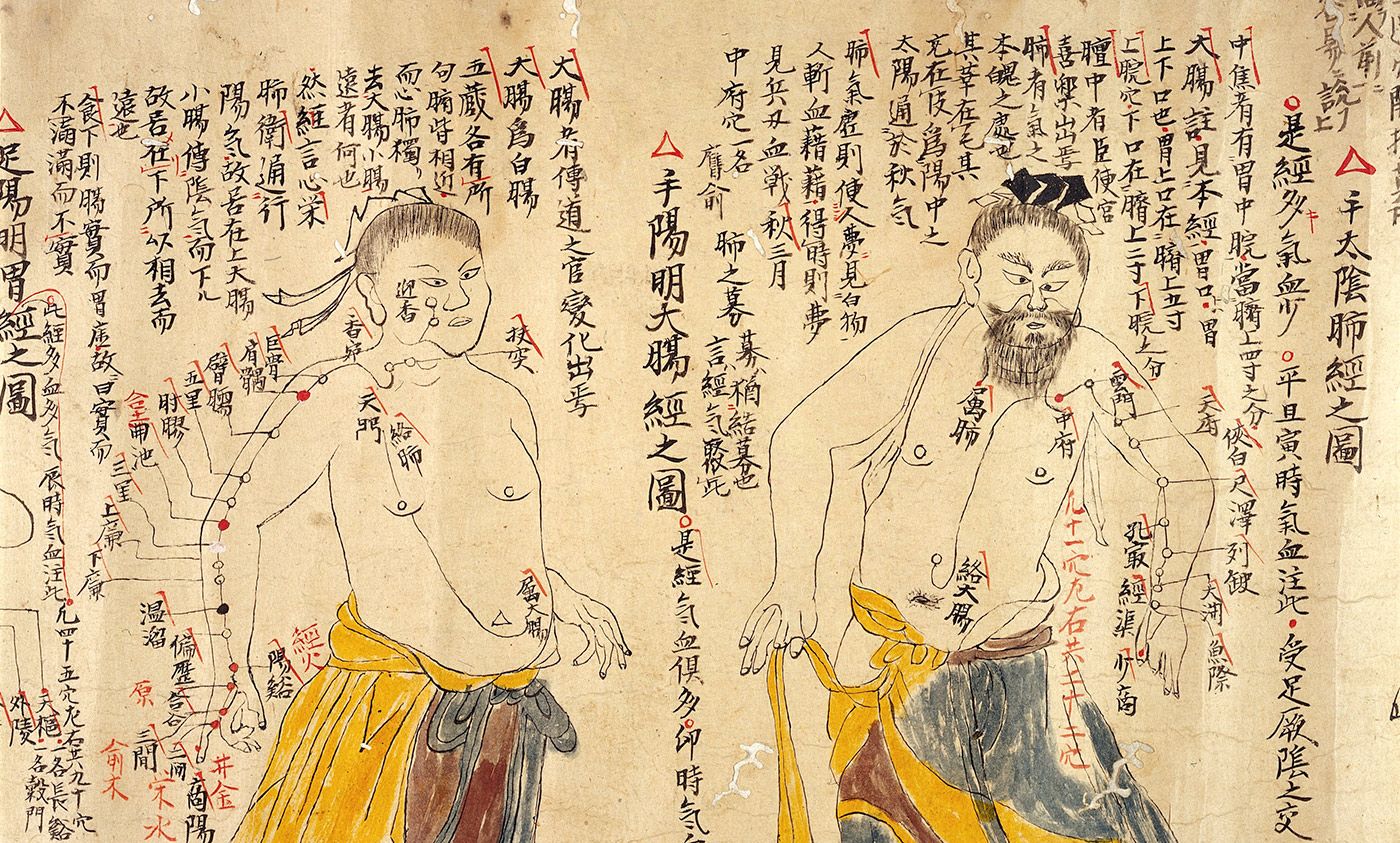 Detail from an 18th-century Chinese depiction of the various acupuncture points. <em>Photo courtesy Wellcome Images</em>