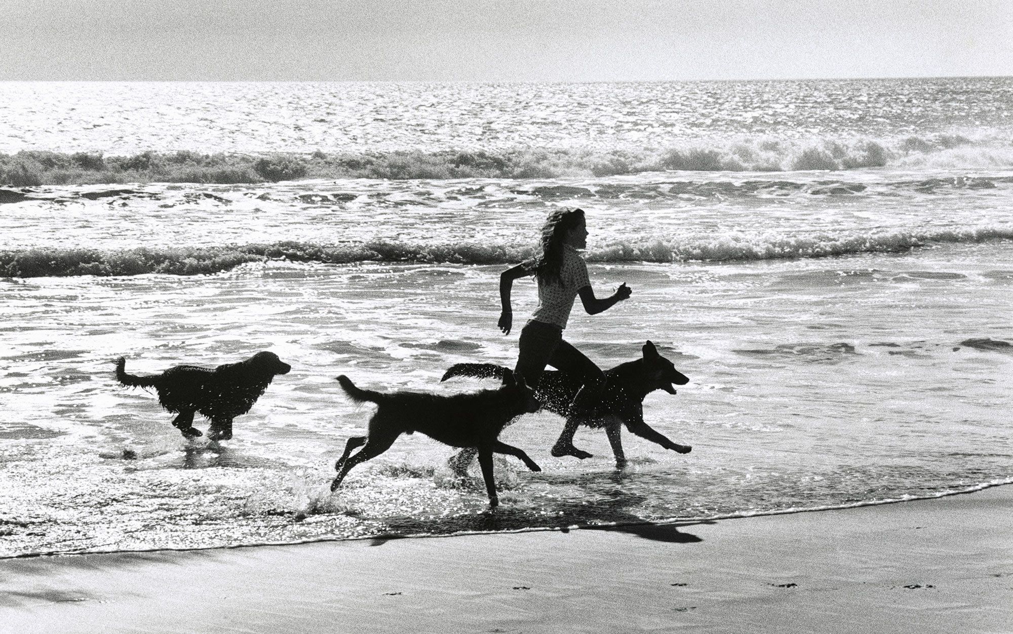 The joy of being animal | Aeon