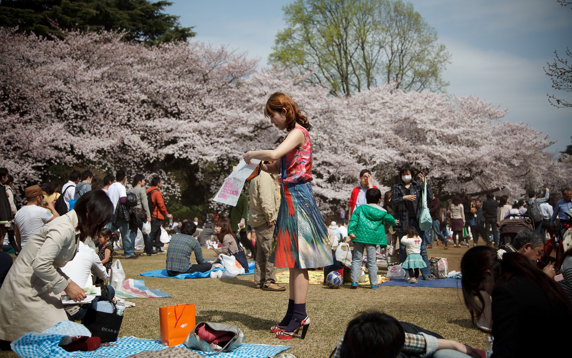 What's wrong with Japan's cherry blossom picnics? | Aeon Essays