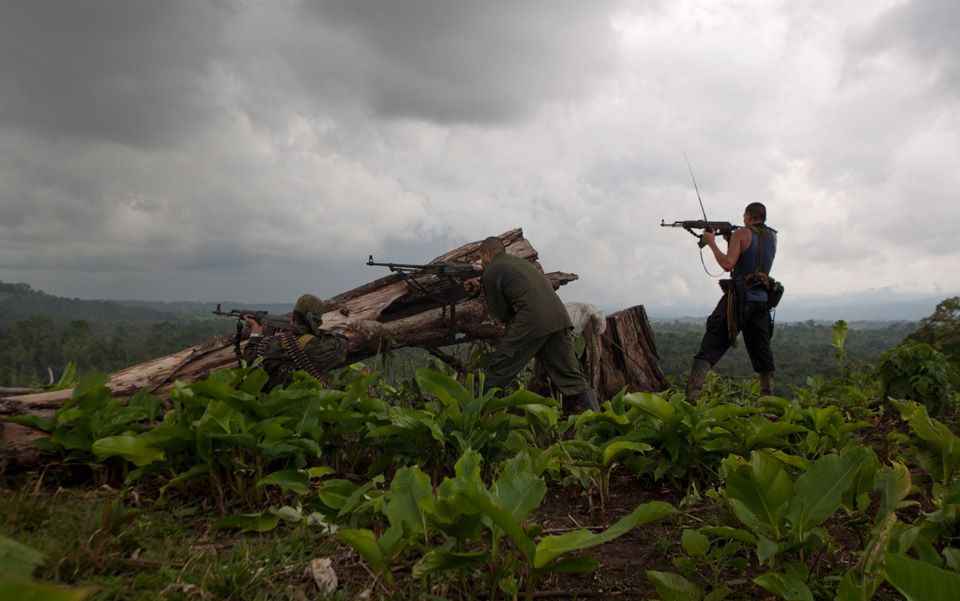 Essay about violence in colombia