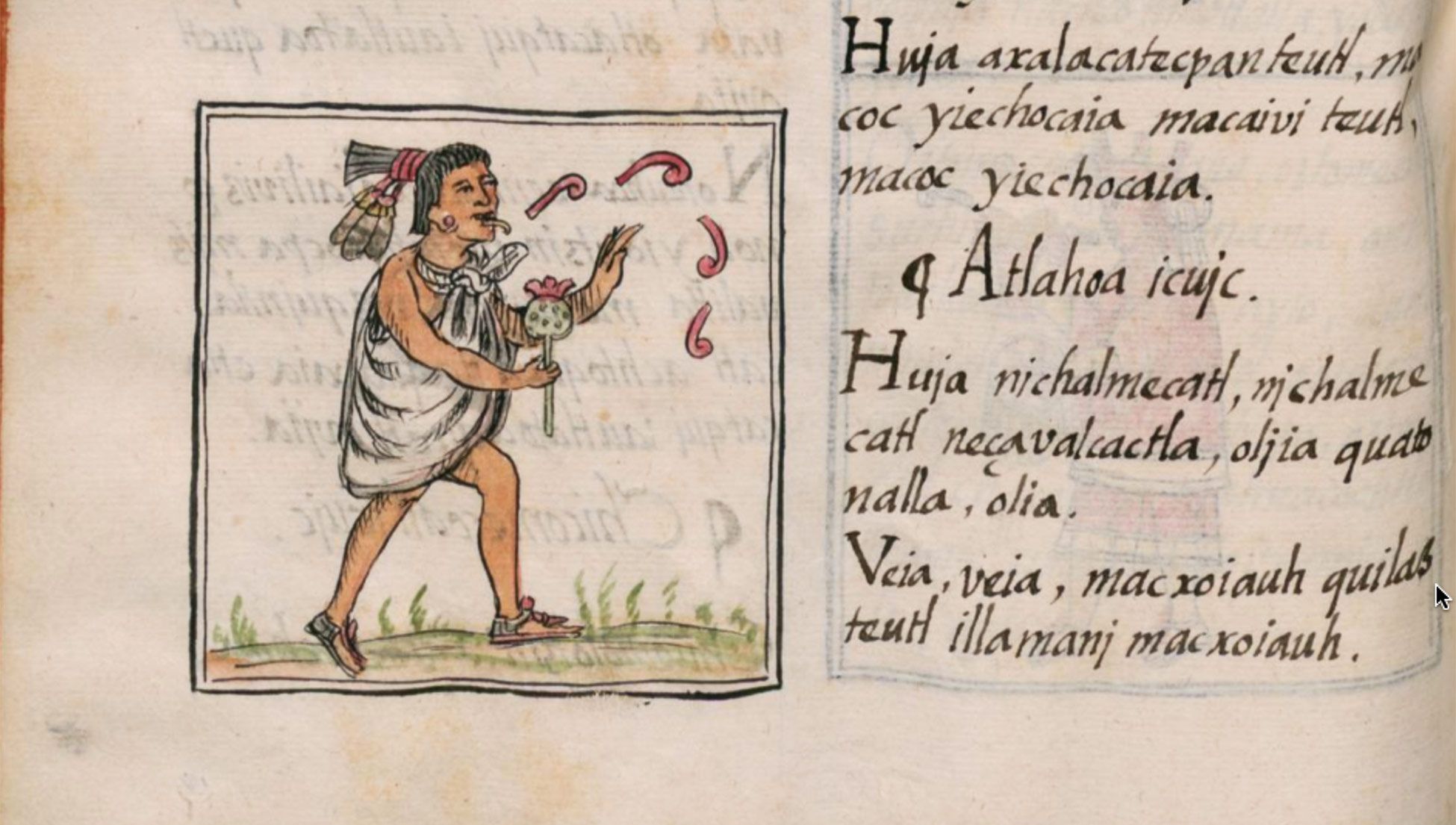 Learning Nahuatl, the flower song, and the poetics of life | Psyche