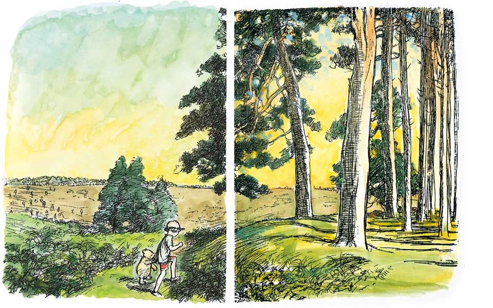 Can we ever return to the enchanted forests of childhood 
