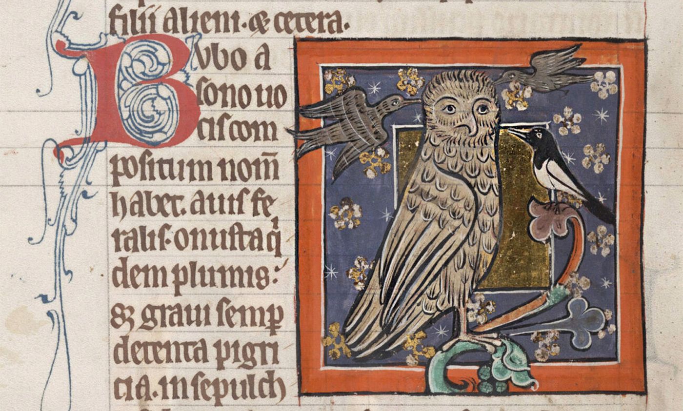 To see the antisemitism of medieval bestiaries, look for the owl | Aeon