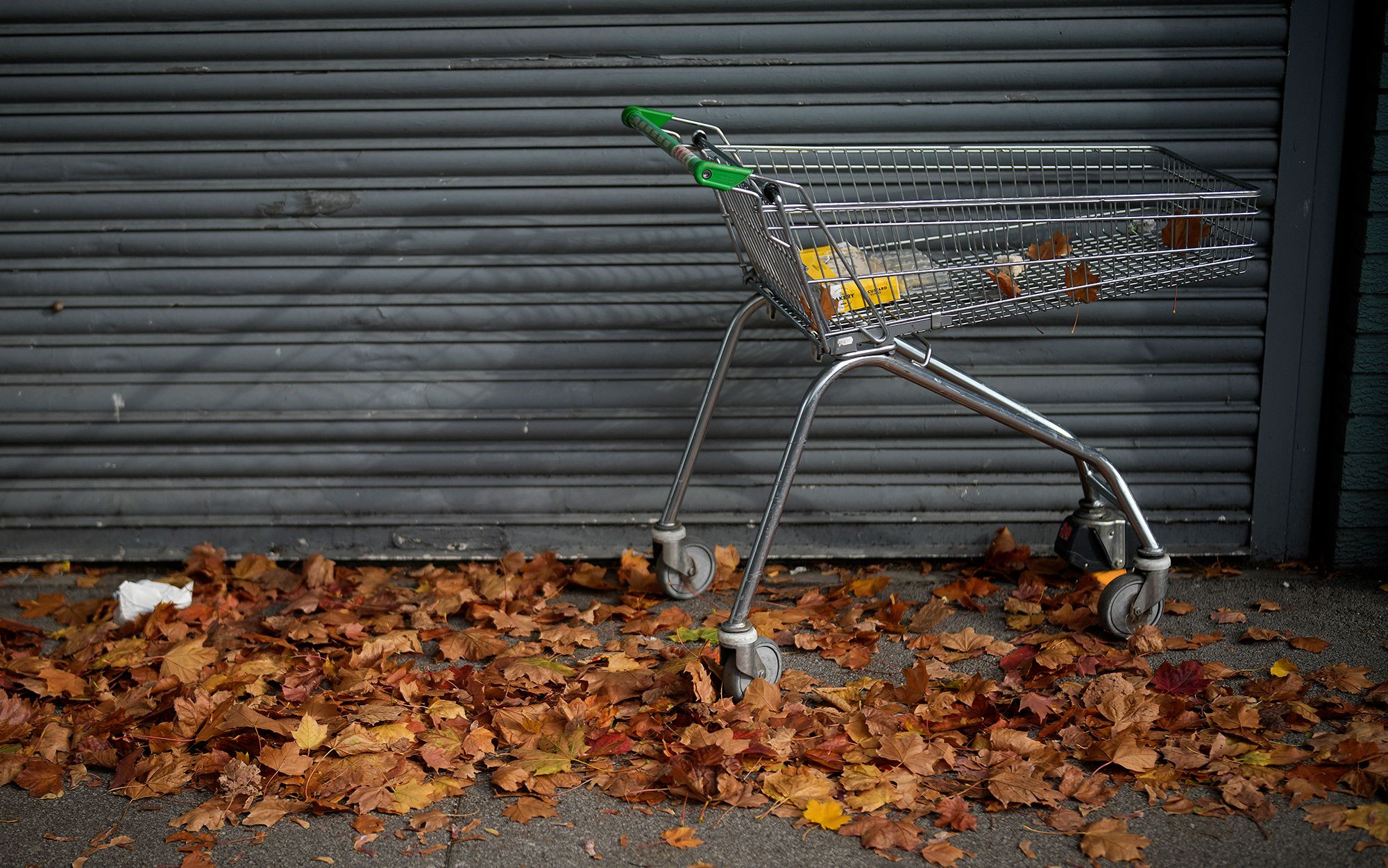 The empty basket | Aeon Essays