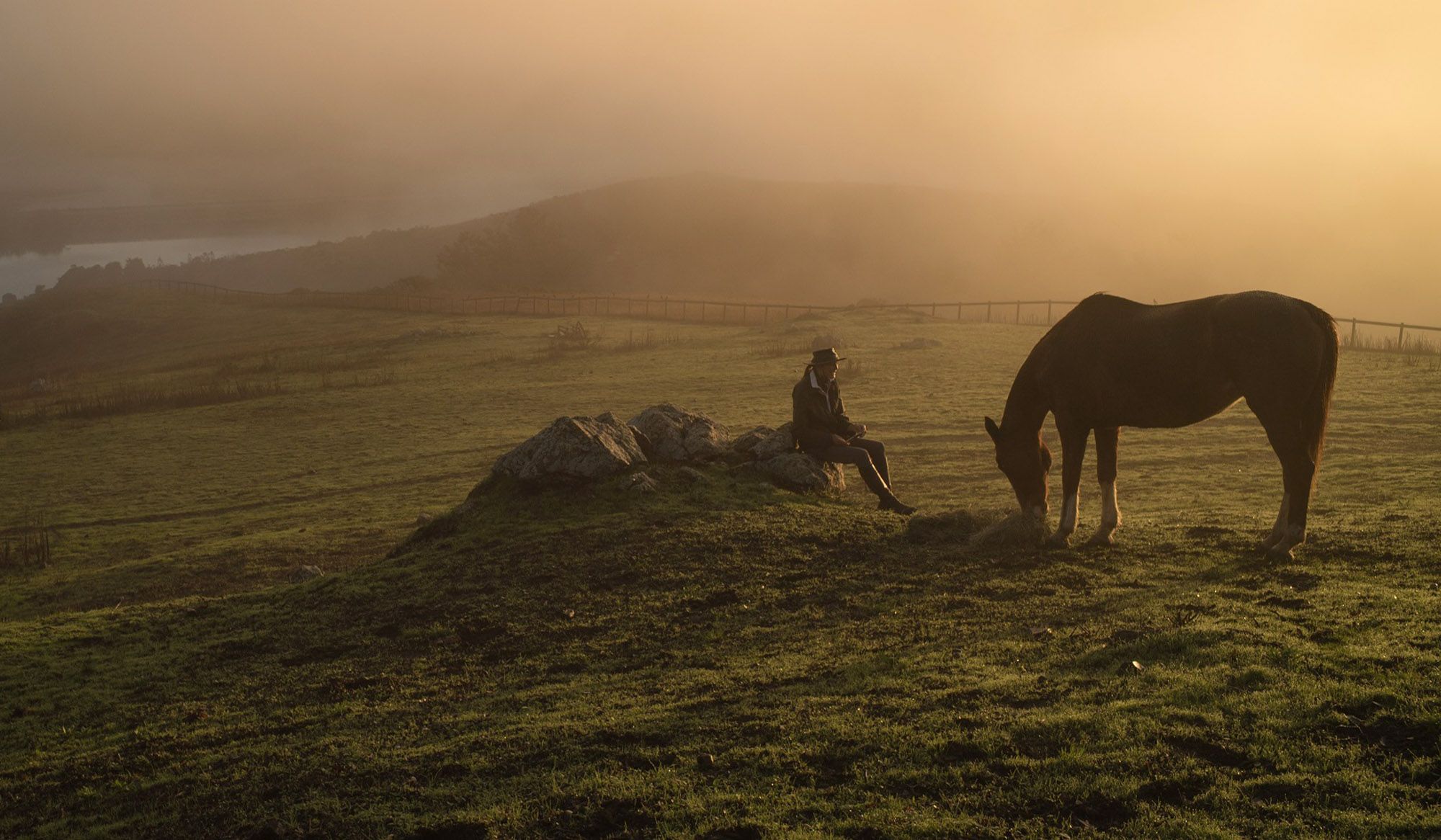 After a mental health crisis, Karin finds peace among her beloved horses | Psyche