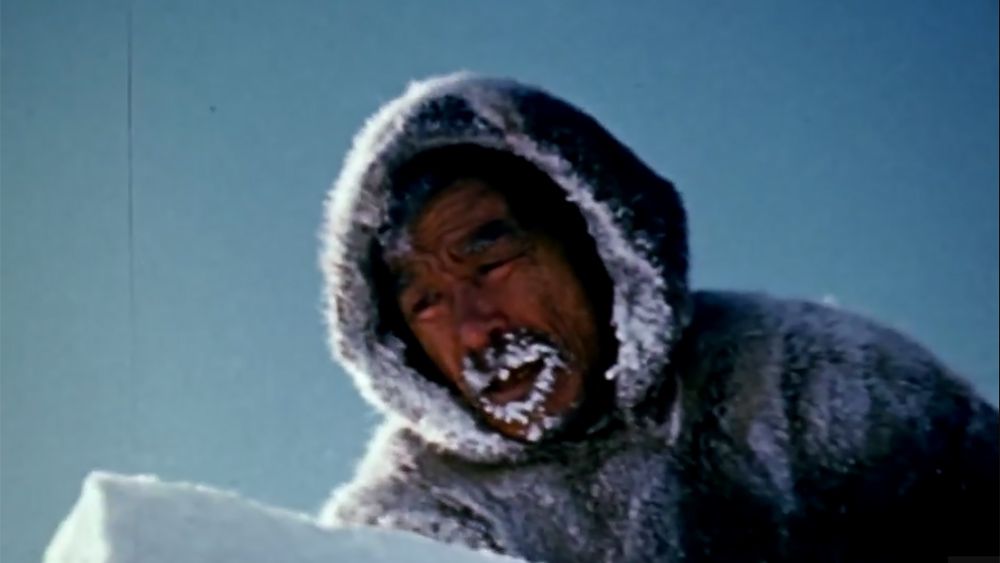 Card how to build an igloo main