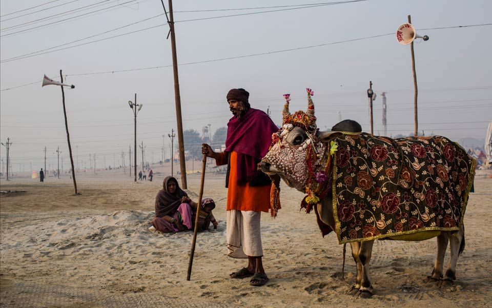 Mercy toward animals runs deep in Asian cultural traditions | Aeon Essays