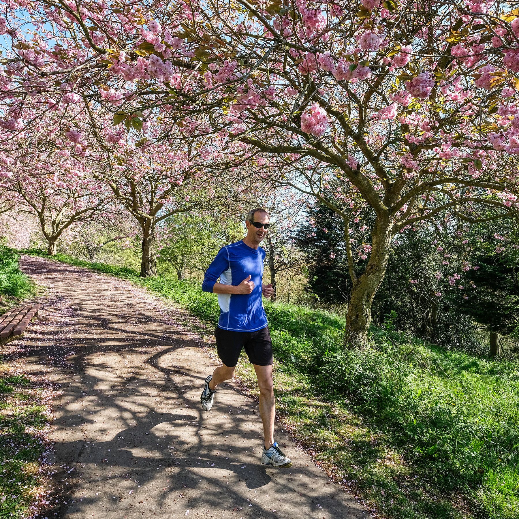 How to enjoy running Psyche Guides pic