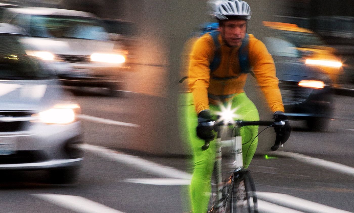 Picture this: why mental representations evolved | Aeon